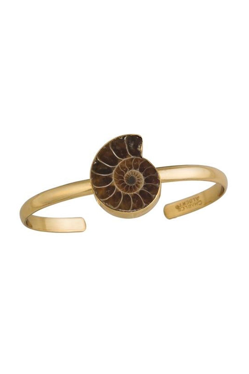 Charles Albert Ammonite Cuff