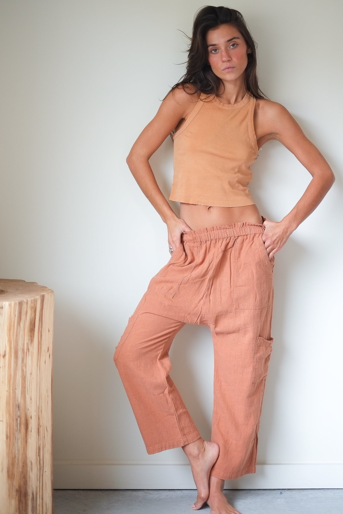 NSF Shailey Paperbag Waist Pant in Sunbaked