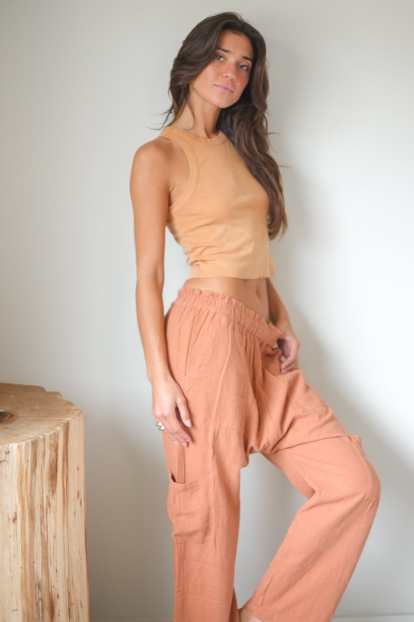 NSF Shailey Paperbag Waist Pant in Sunbaked