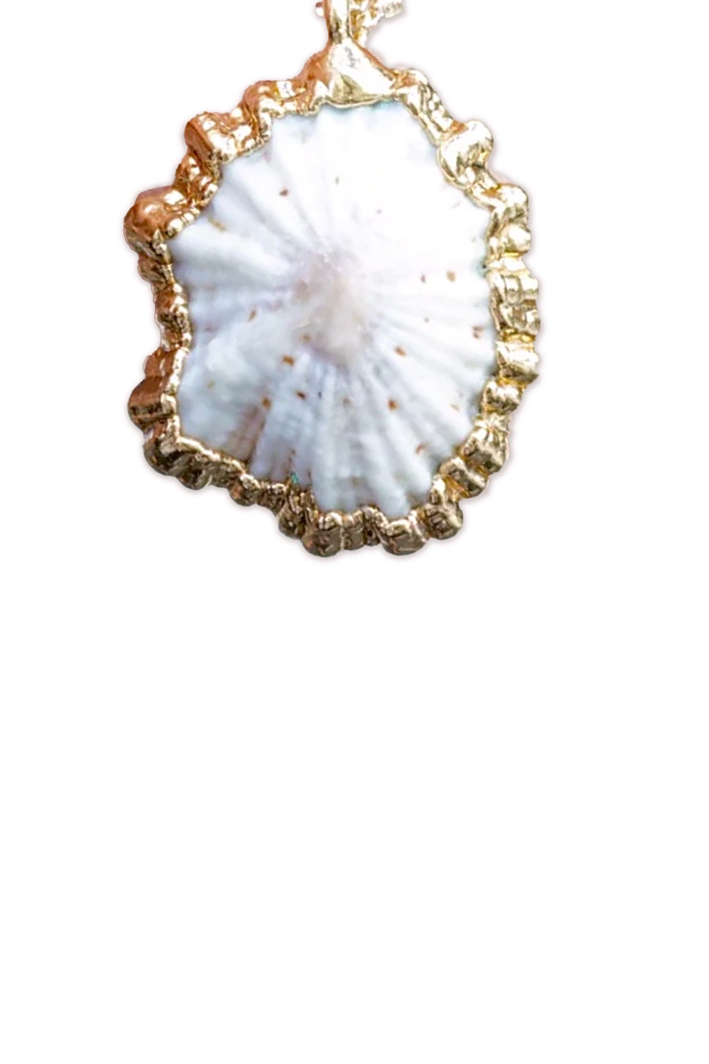 Rise Hawaii Opihi Shell Necklace