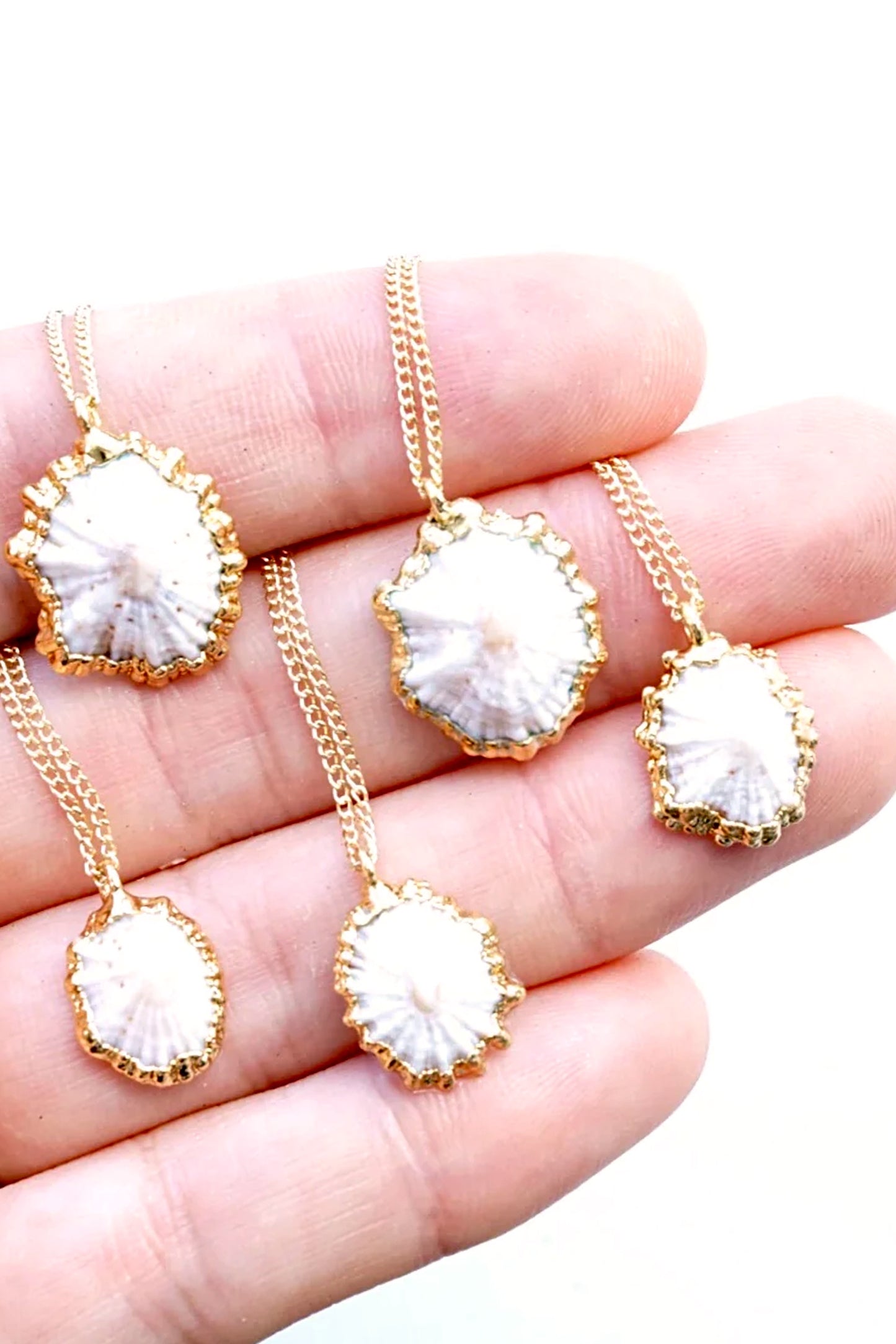 Rise Hawaii Opihi Shell Necklace
