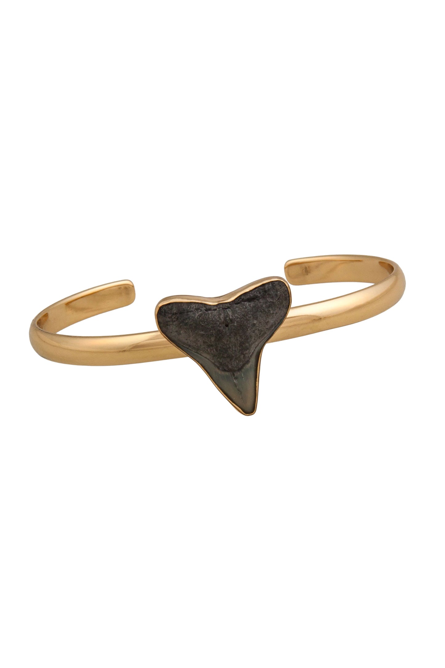 Charles Albert Alchemia Fossil Shark Tooth Mini Cuff