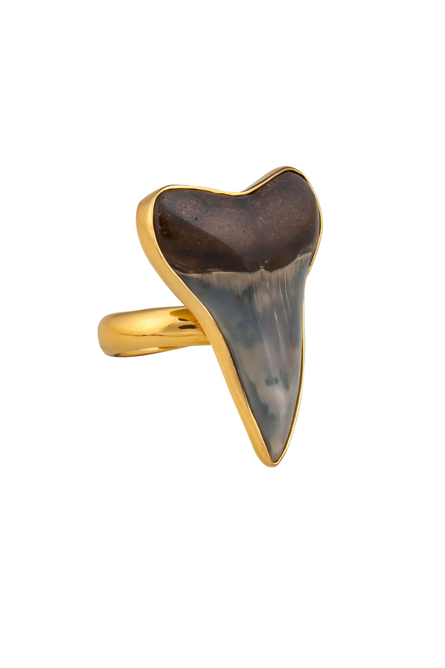 Charles Albert Alchemia Fossil Shark Tooth Adjustable Ring