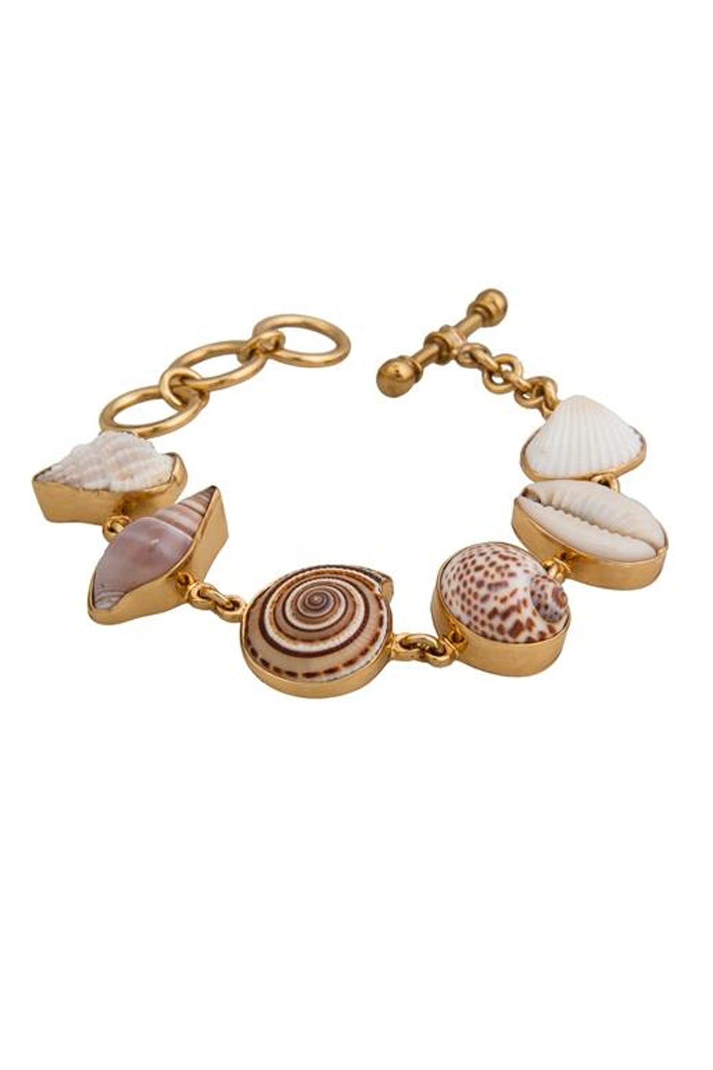 Charles Albert Alchemia Mult-Shell Bracelet