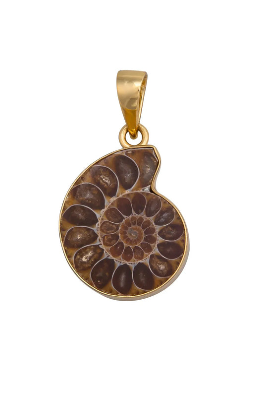 Charles Albert Ammonite Pendant