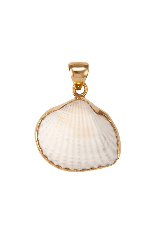 Charles Albert Ark Shell Pendant