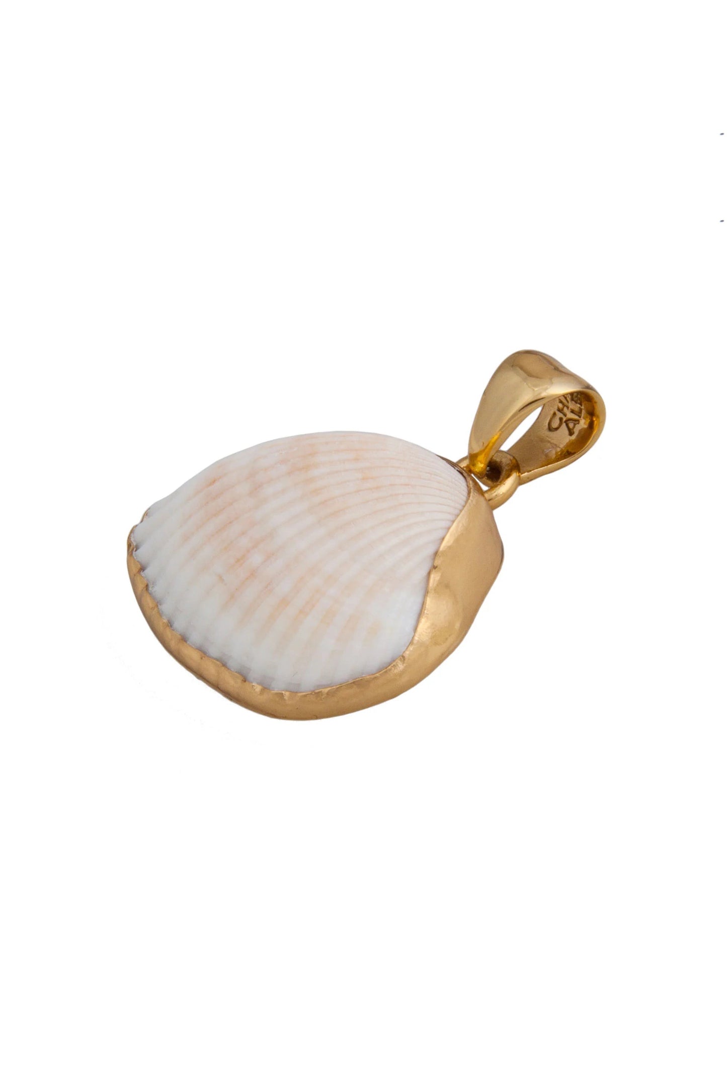 Charles Albert Ark Shell Pendant