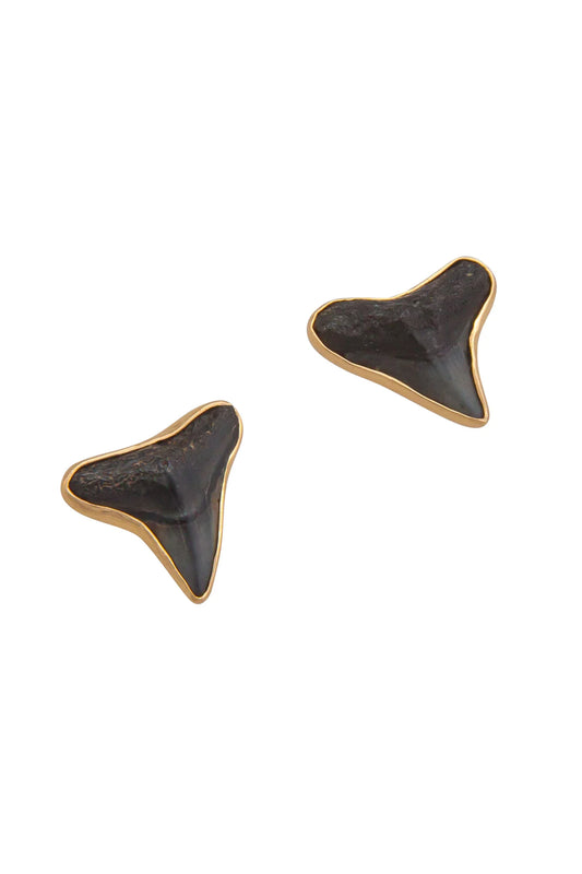 Charles Albert Alchemia Fossil Shark Teeth Post Earrings