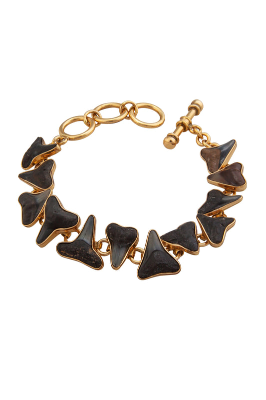 Charles Albert Alchemia Fossil Shark Teeth Bracelet