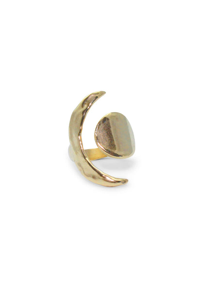 Amanda Hunt-Equinox Ring in Bronze